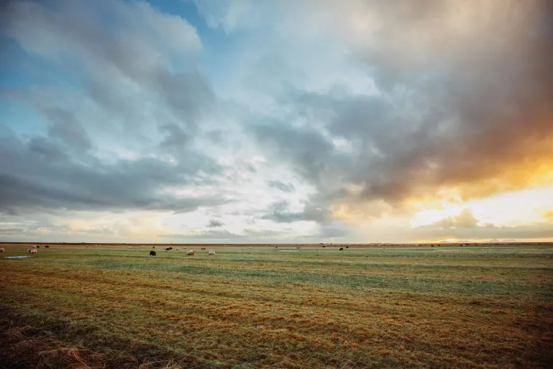 Land, Time, and Presence: How Ranch Living Rewires What Clients Expect from Premium Companionship